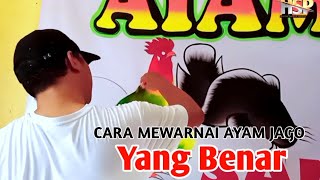 Cara menggambar mewarnai Ayam Jago yang Benar||spanduklukis  Pecel lele.