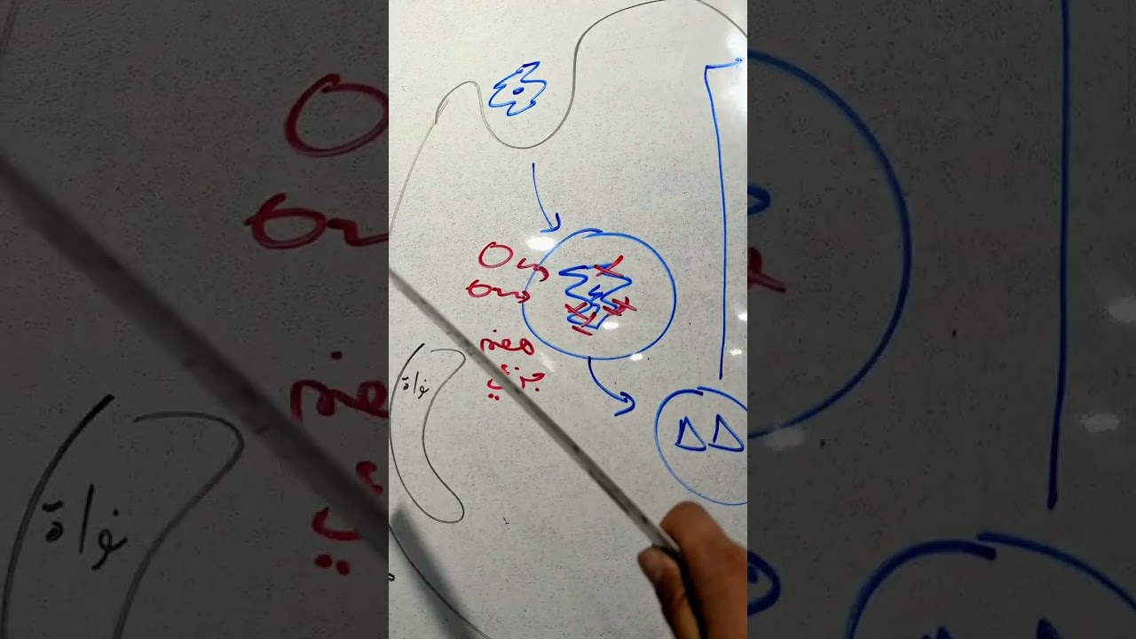 أبسط شرح 😁 🫶 للمناعة الخلوية ضد الخلايا السرطانية 🎯 !!