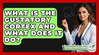 What Is The Gustatory Cortex And What Does It Do? - Ear Nose Throat Expert