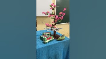 212 ngày nữa là đến tết rồi các bạn học sinh ơi