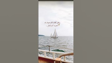 #سورة_آل_عمران #المنشاوي #تلاوة_مرتلة #قرآن_كريم #تلاوة_مجودة #المغفرة #اكسبلور #القزابري #قران_كريم