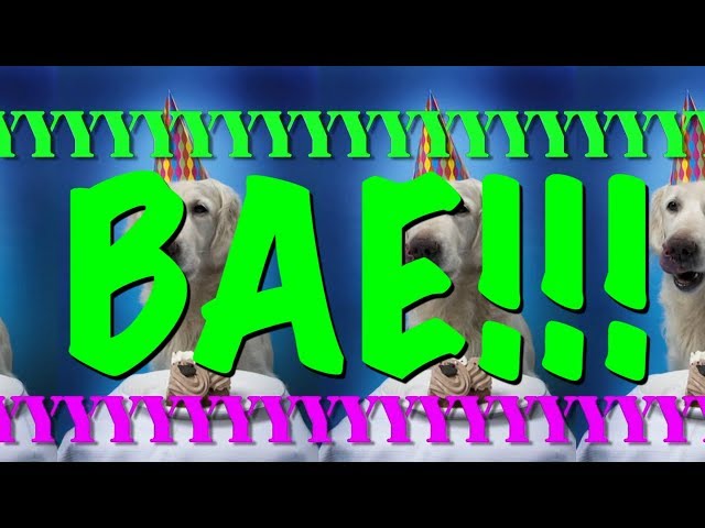 HAPPY BIRTHDAY BAE! - EPIC Happy Birthday Song