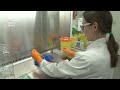 How to open NCTC strains supplied in glass ampoules