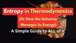 All of Thermodynamic Entropy Calculations   A selfstudy guide  All Basic Processes