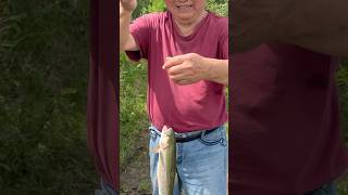 #trouts #fishing #fish #mepps #powerbait #berkleyfishing #seaguar #carp #powerbait #trout #bass