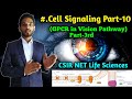 GPCR in Vision Pathway || GPCR Vision Pathway Inhibitors || Cell Signaling Part-10