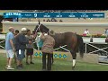 I'm A Risque Girl wins race 9 at Del Mar 8/13/23.