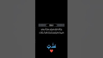 Surah Nooh سورة نوح  [نوح:5-9] -بصوت الشيخ ماهر المعيقلي #tiktok #quran #surah #ماهر_المعيقلي