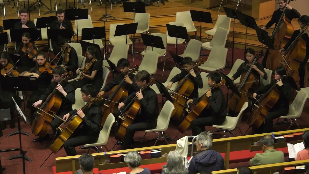 W.A. Mozart: Violin Concerto in A Major, K.219 / New Jersey Youth Symphony • NJYS Youth Orchestra