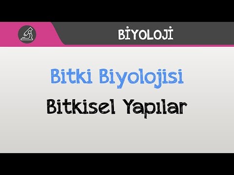 Bitki Biyolojisi - Bitkisel Yapılar