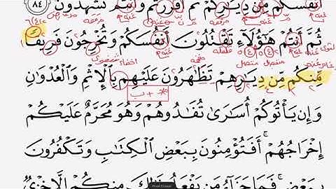 سورة البقرة ( 14) = ( 84 - 88 )  = مع شرح احكام التجويد