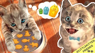 Little Kitten Preschool Adventure Educational Games - Play Fun Cute Kitten Best Learning Game #1038