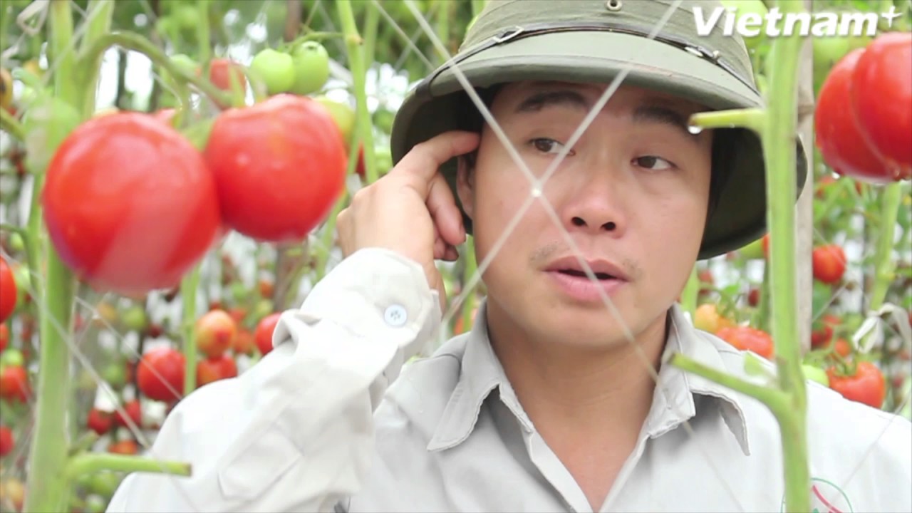 Ứng dụng nông nghiệp công nghệ cao: Thoát nỗi lo 