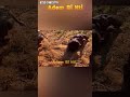 #trending #comedy #short #funny #viral DABI DABI PAA GEORGE,JUDAS ,KWAKU TUMASI,MICHAEL AFRANIE, PA