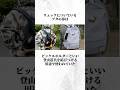 使い方がよく分からんモノの正体