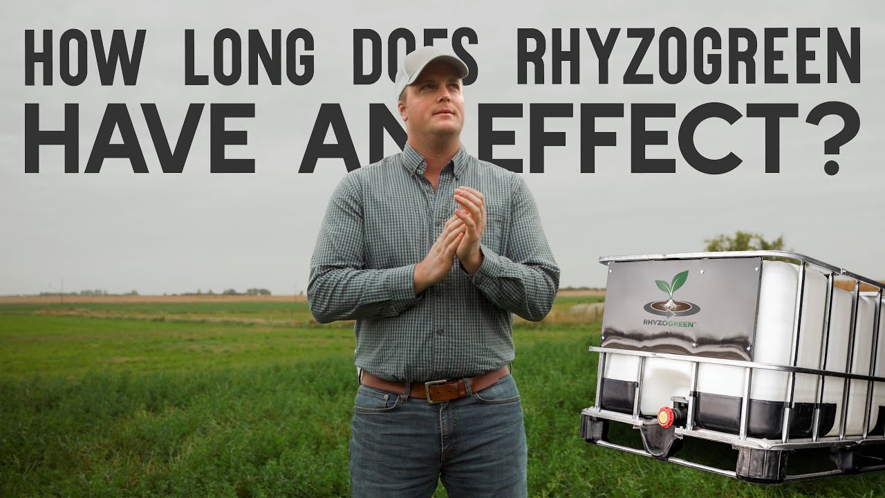How Long Does Rhyzogreen Last in Your Soil? | Longevity & Long-Term Benefits Explained!