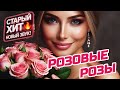 Розовые Розы Светка Соколова Новая Версия Танцевальный Шансон