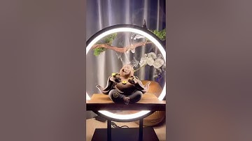 Thác đốt trầm hương Phật Di Lặc - Liên hệ: 086.79.78.279