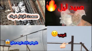 حطن كومه طيور غربه😱😱 هاذ الفيديو🔥🔥🔥🔥 صعدنه الفرخات ♥️