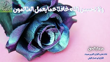 (ولا تحسبن الله غافلا عما يعمل الظالمون) سورة ابراهيم 42 - 52