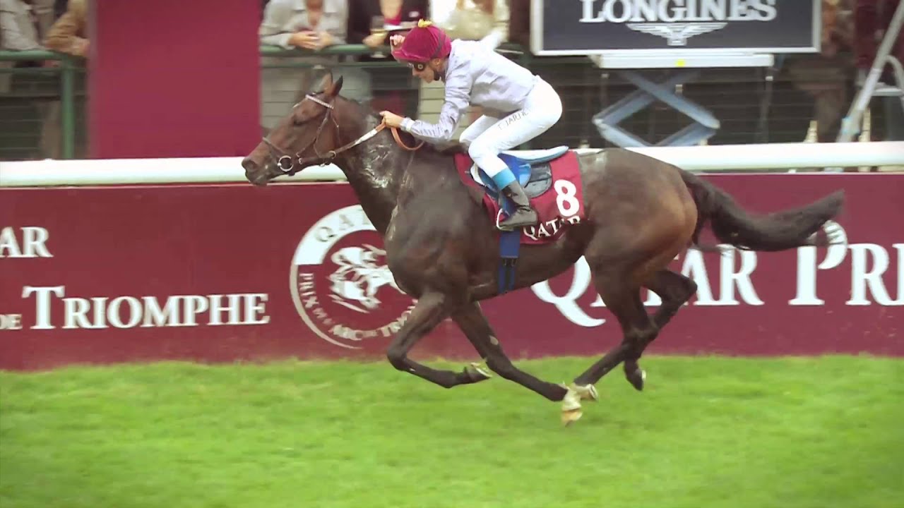 Qatar Prix de l'Arc de Triomphe 2015 LONGINES World's Best Horse Race