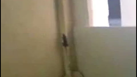 MOV00001