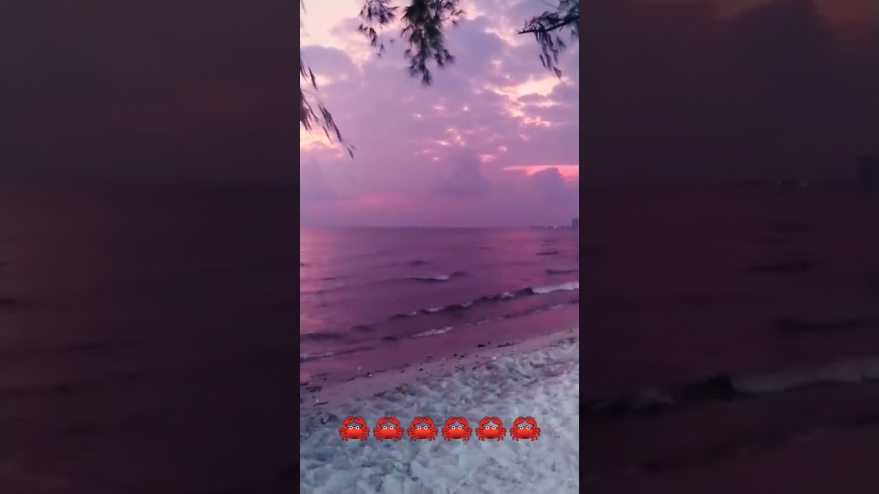 Farben, rot, gelb, grün, blau, orange, lila, violett, rosa, braun, schwarz, weiß, 