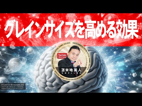 マルチブースト・グレインサイズ 苫米地英人 マルチブースト・グレインサイズ 苫米地英人 超並列脳マルチ