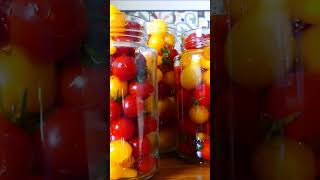 tomates Cherry