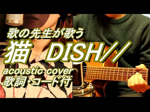 猫/DISH//（あいみょん）   歌の先生が歌うacoustic cover   歌詞・コード付