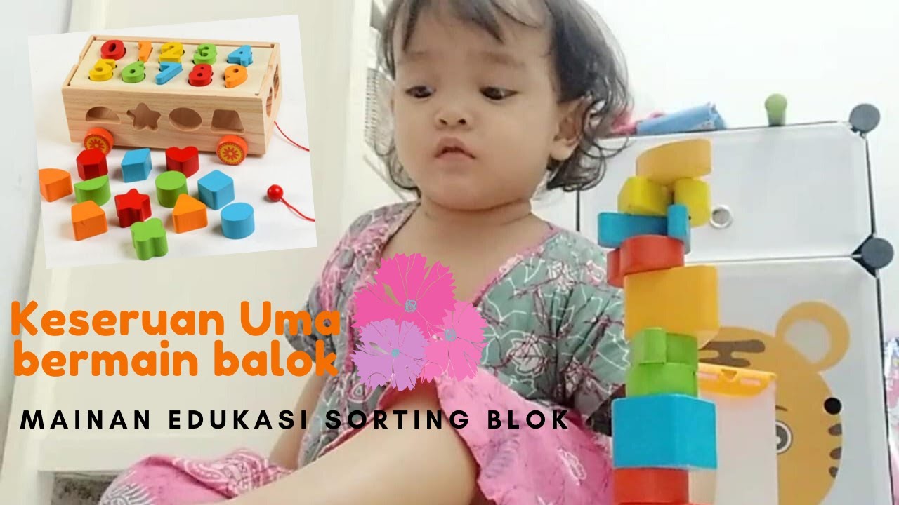 Bemain mainan edukasi sorting logarithmic blocks Anak Bemain mainan edukasi sorting logarithmic blocks Anak