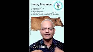 How to treat lumpy skin disease of cows I LSD treatment I #shorts