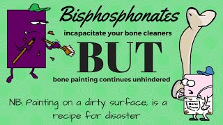 How bisphosphonates interact with your bone crew