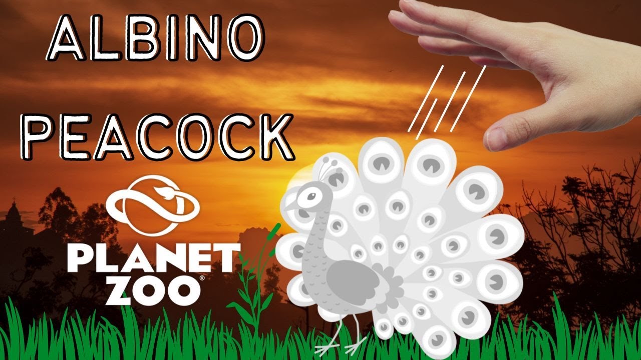 Albino Indian Peacock Habitat Build- Planet Zoo