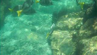 DSCF0453.AVI