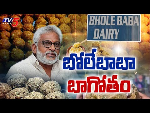 STUNNING Facts About Bhole Baba Dairy Exposed In Investigation Over Tirumala Laddu Ghee Adulteration - TV5NEWS