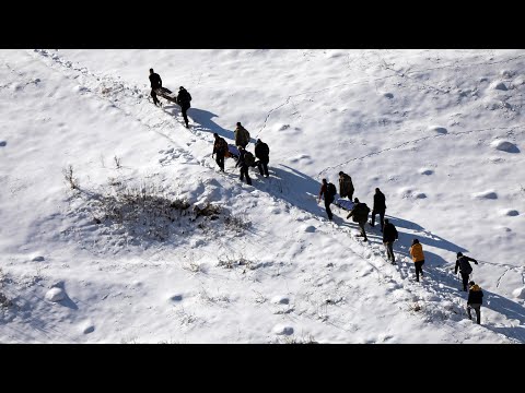 „ჩიტი საც იბადების, იმის ბაღდადი იქ არის“