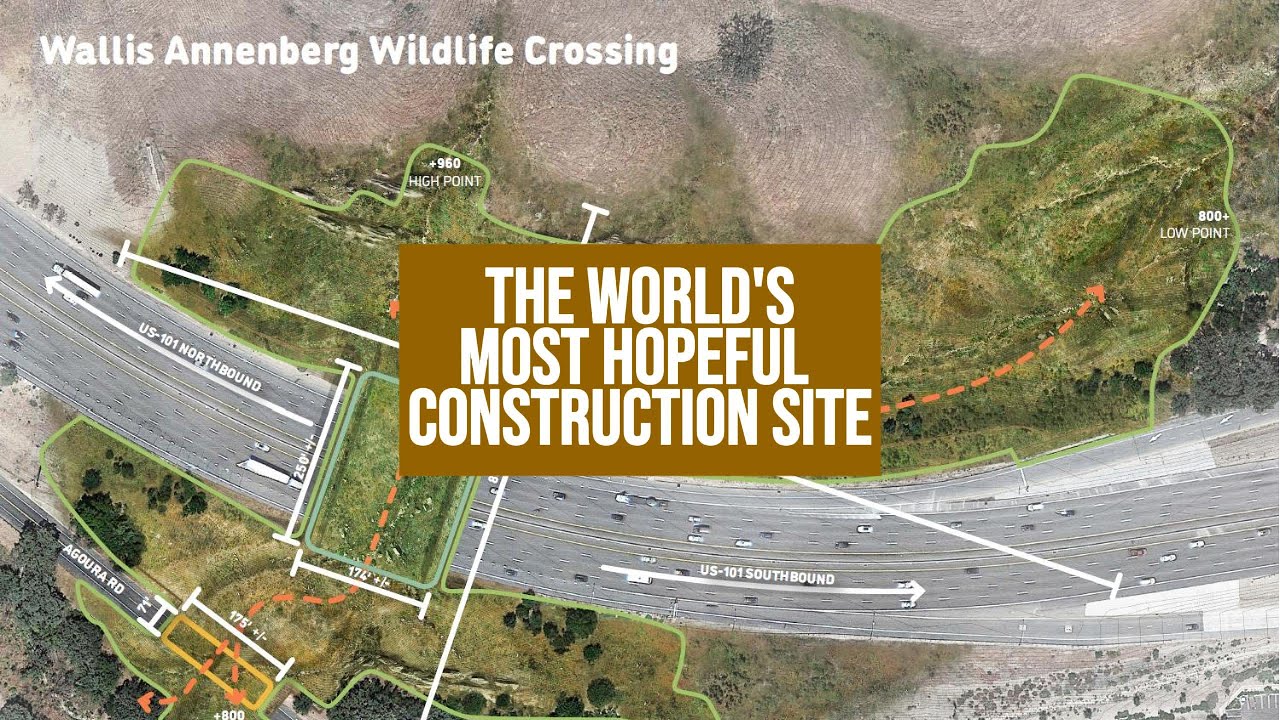 Tour of Wallis Annenberg Wildlife Crossing