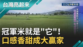 冠軍米就是&quot;它&quot;！池上米口感香甜細膩秘密客盲選成大贏家 ... 