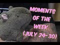 JustKiddingNews Moments Of The Week (July 24-30)