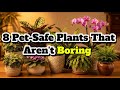 8 Pet-Safe Plants That Aren't Boring  