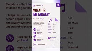 What Is Beat Metadata? (And Why Producers Are Losing Money Without It)