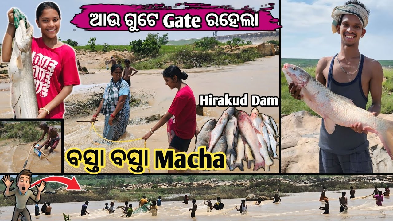 Hirakud Dam Re Basta Basta Macha 😯 // Deepak p informative