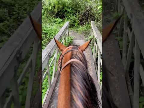 Ride with Jazz and me over a bridge in Montana de Oro State park.