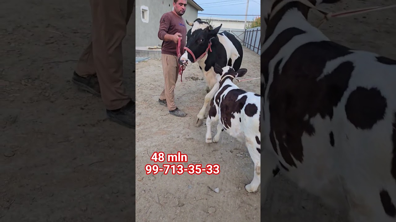 22 октября 2025 г.