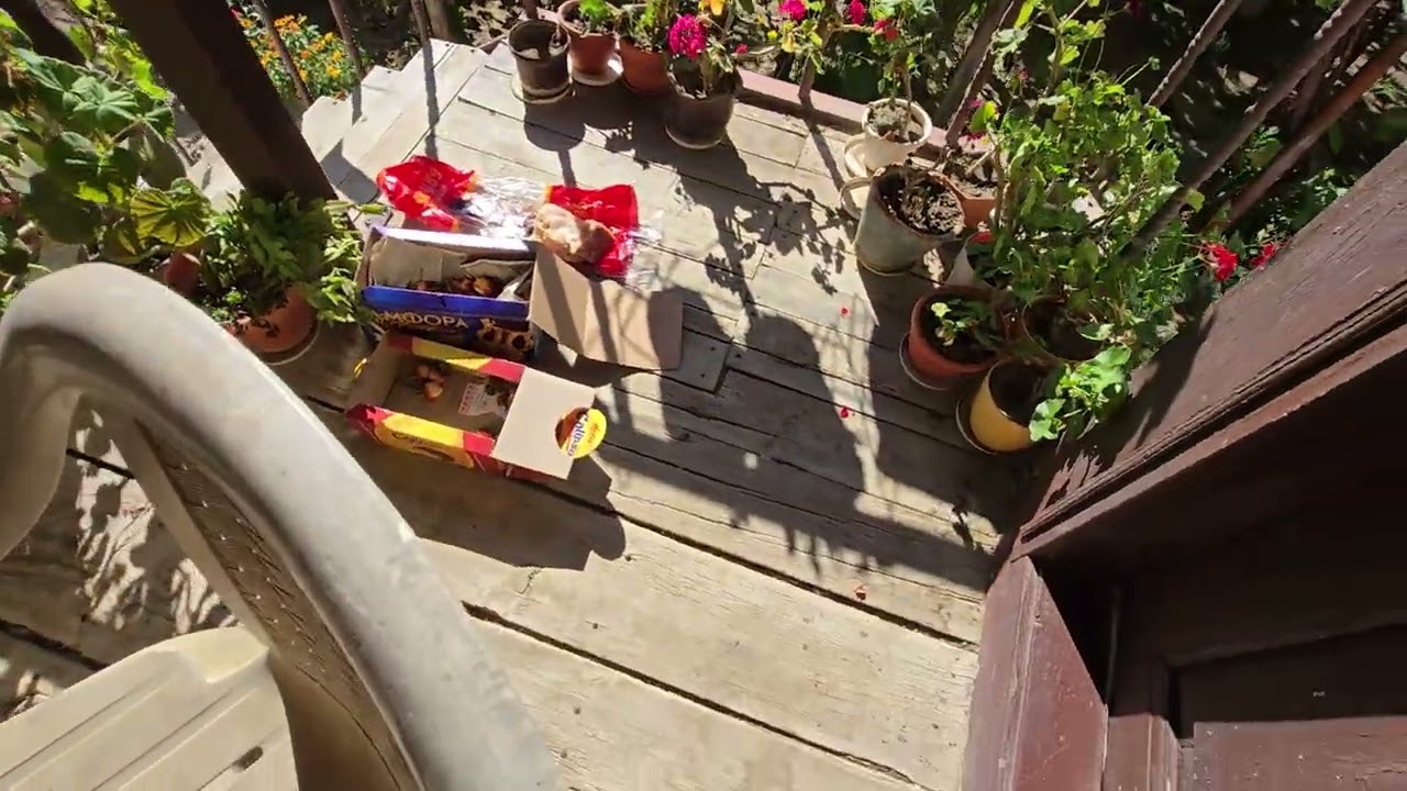 Къща в село Веселиново, общ.Смядово