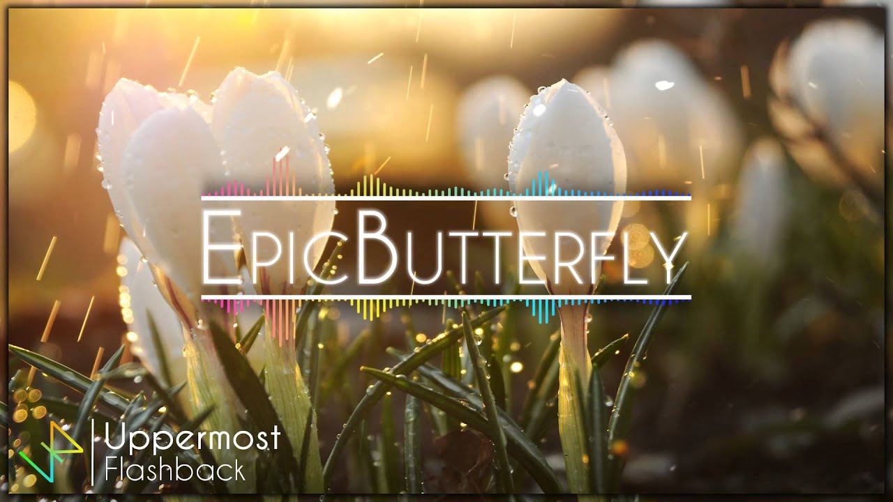 YouTubeでUppermost - Flashback || EpicButterflyを視聴 YouTubeでUppermost - Flashback || EpicButterflyを視聴