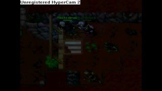 Tibia Noob 2