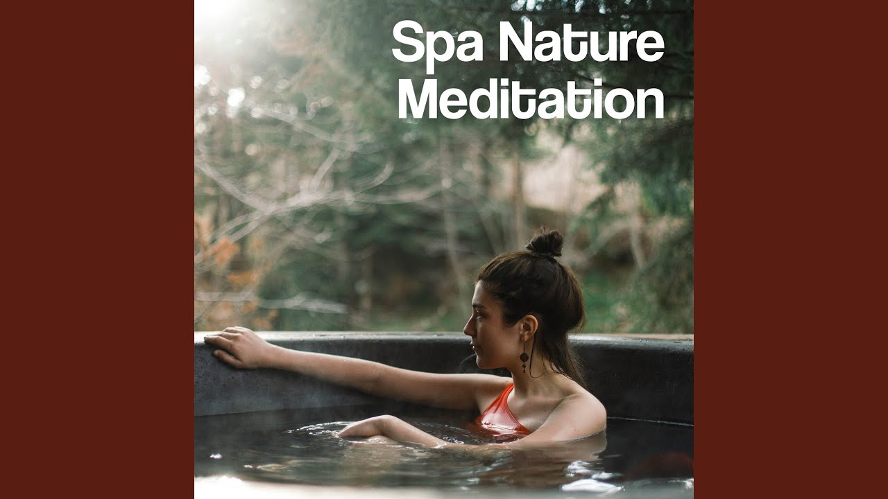 Rainforest Zen Music