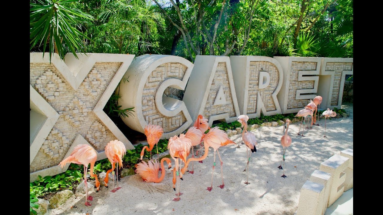 XCARET PARK   Le paradis majestueux du Mexique